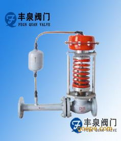 zzy型自力式壓力調(diào)節(jié)閥圖片 高清大圖 谷瀑環(huán)保