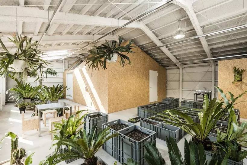 工廠改造為藝術家工作室_文化_網(wǎng)